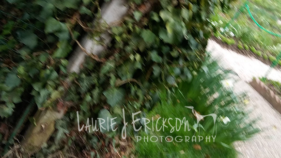 20180329_150314_HDR
