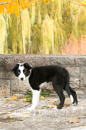 IMG-9989