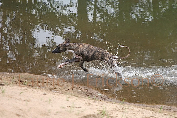 IMG_0531