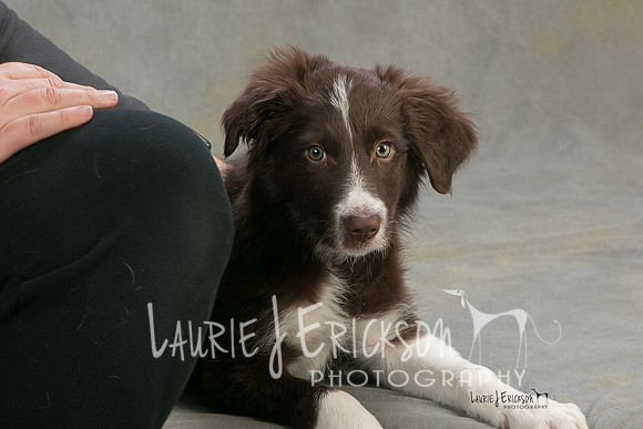 IMG-7742