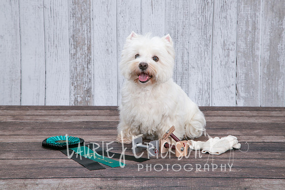 IMG_7374