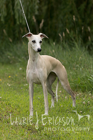 IMG-5646