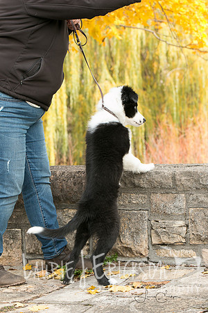 IMG-9995