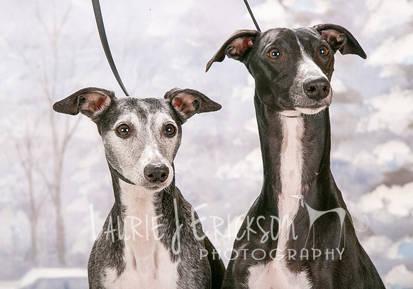 IMG_7433
