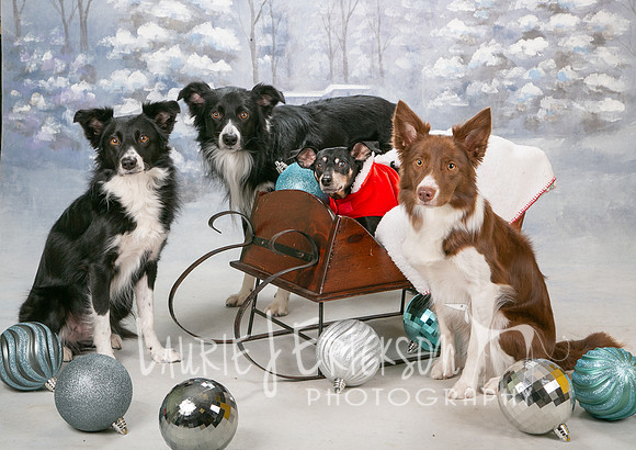 IMG_7725