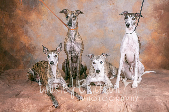 IMG_9606