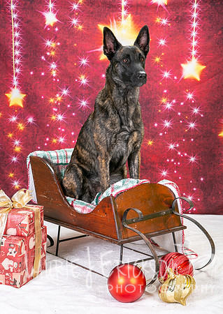 IMG_1518