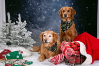 Crews, Kathy 12-3-2023