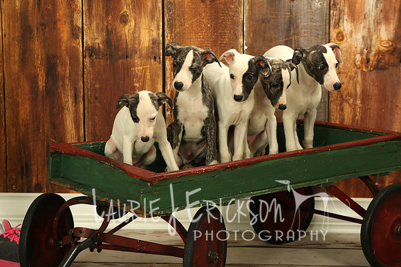 IMG_4292