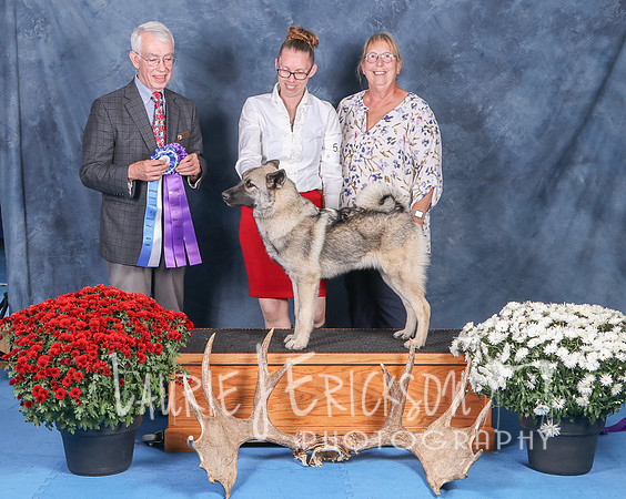 IMG_9902