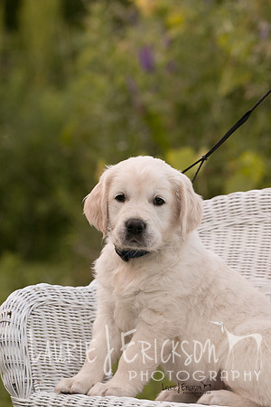 IMG-0399