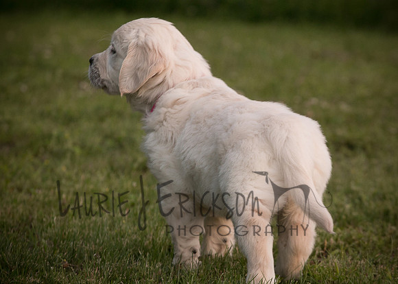 IMG-0498-2