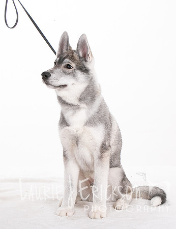1A2A0448