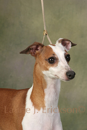 IMG_8397