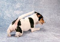 IMG_0889