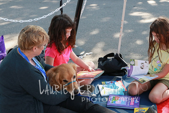 IMG-7706
