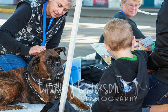 IMG-7730