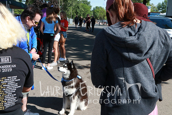 IMG-7738