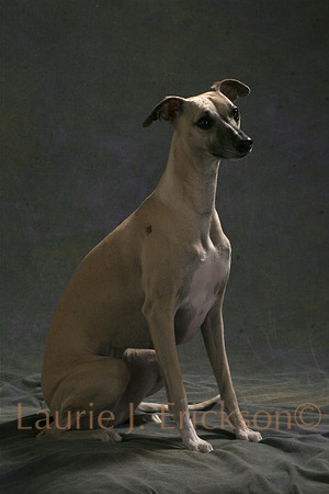 IMG_9989