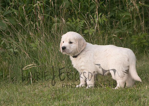 IMG-0489