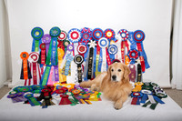 IMG_1017