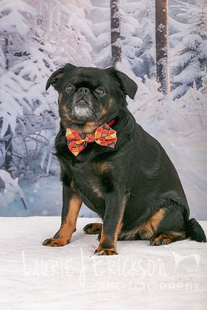 IMG_2605