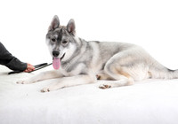 IMG_1134