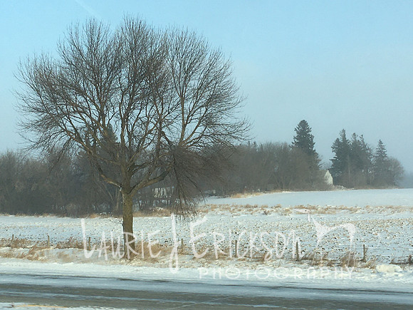 2019-12-09 15.35.25