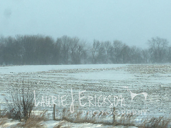 2019-12-09 15.38.26