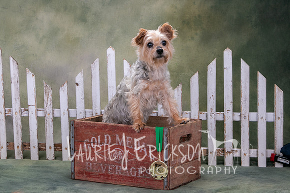 IMG_0349