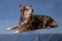 IMG-0443
