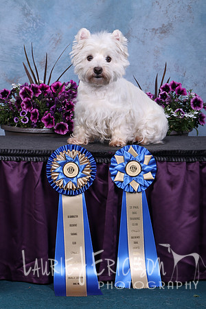 IMG_5490
