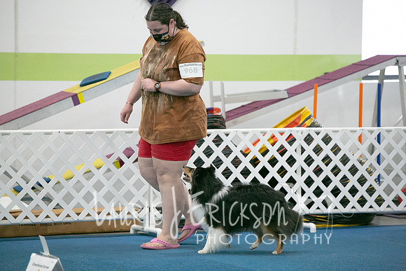 IMG_8374