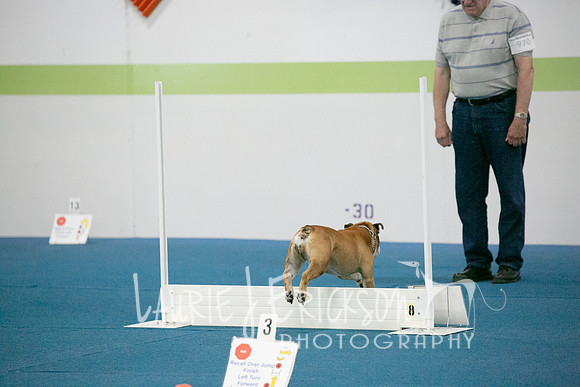 IMG_8417