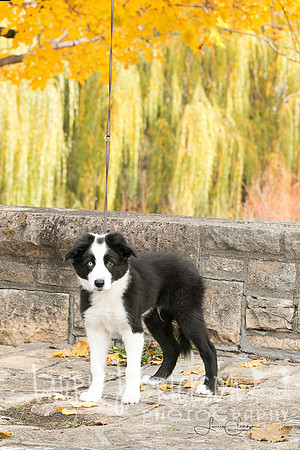 IMG-9992