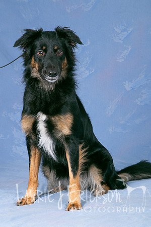 IMG-0479