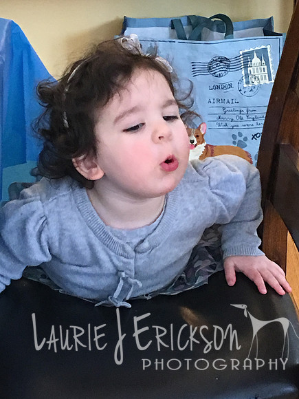 2019-02-23 11.14.41