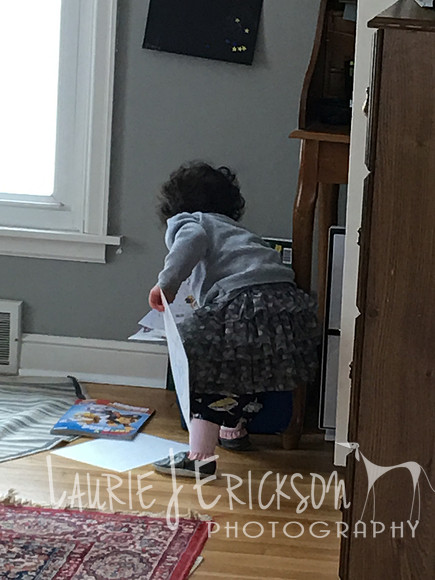 2019-02-23 11.25.11
