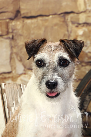IMG_1327
