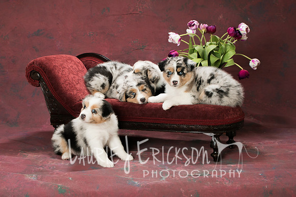 IMG_1478