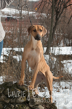 IMG-2212