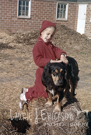 image-0008