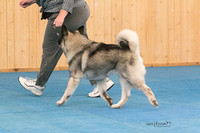 IMG-6051