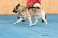 IMG-6065