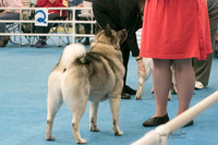 IMG-6044