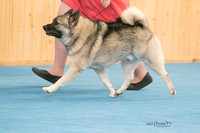 IMG-6074