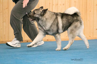 IMG-6062
