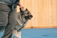 IMG-6052