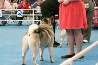 IMG-6045