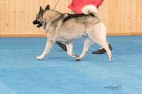 IMG-6067
